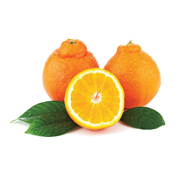 Minneola Oranges - 3lb.