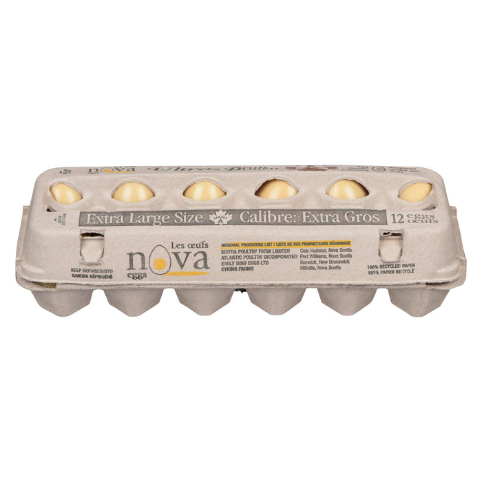 Nova Eggs Ultra Brown Extra Large Size, 12-Pack