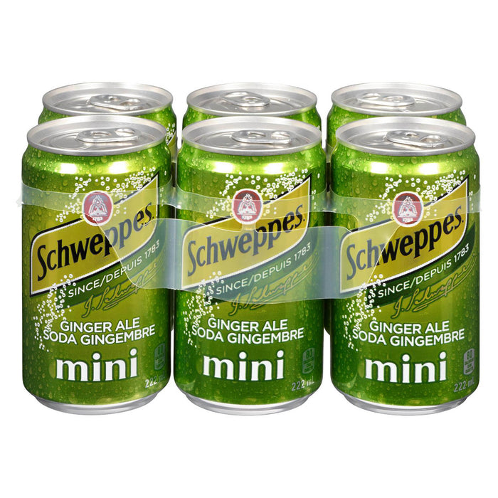 Schweppes Soda Gingembre Mini, emb de 6, 222-ml