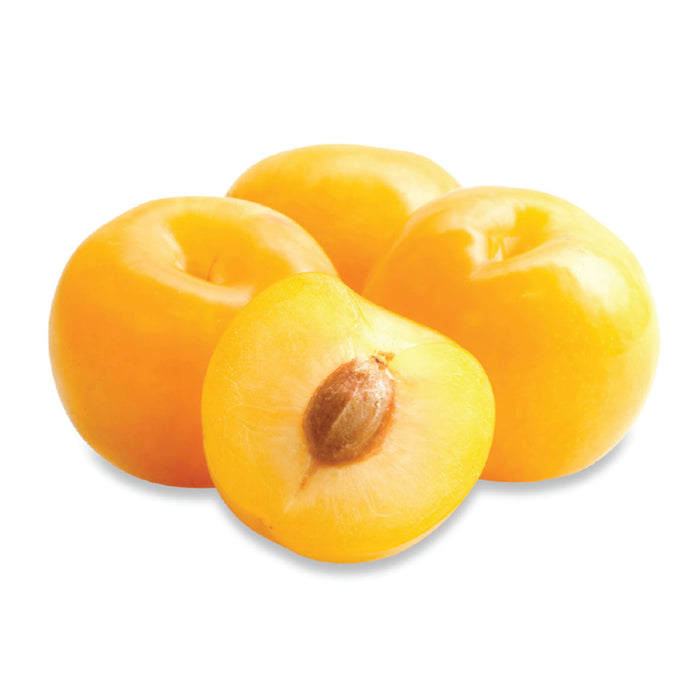 Yellow Plums, 1.5-L